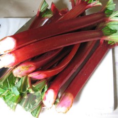 Rhubarb Goliath Rhubarb Goliath