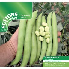 Seeds - Broad Bean Luz de Otono Seeds - Broad Bean Luz de Otono