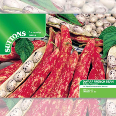 Seeds - Dwarf French Bean Borlotto Firetongue Seeds - Dwarf French Bean Borlotto Firetongue
