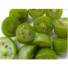 Kiwi Berry - Actinidia arguta Issai Kiwi Berry - Actinidia arguta Issai