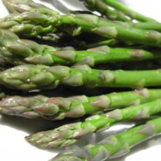 Asparagus Gijnlim F1 Hybrid Asparagus Gijnlim F1 Hybrid