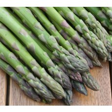 Asparagus Javelim F1 Asparagus Javelim F1